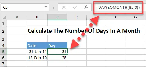 FORMULA FRIDAY extract day from date using day()2